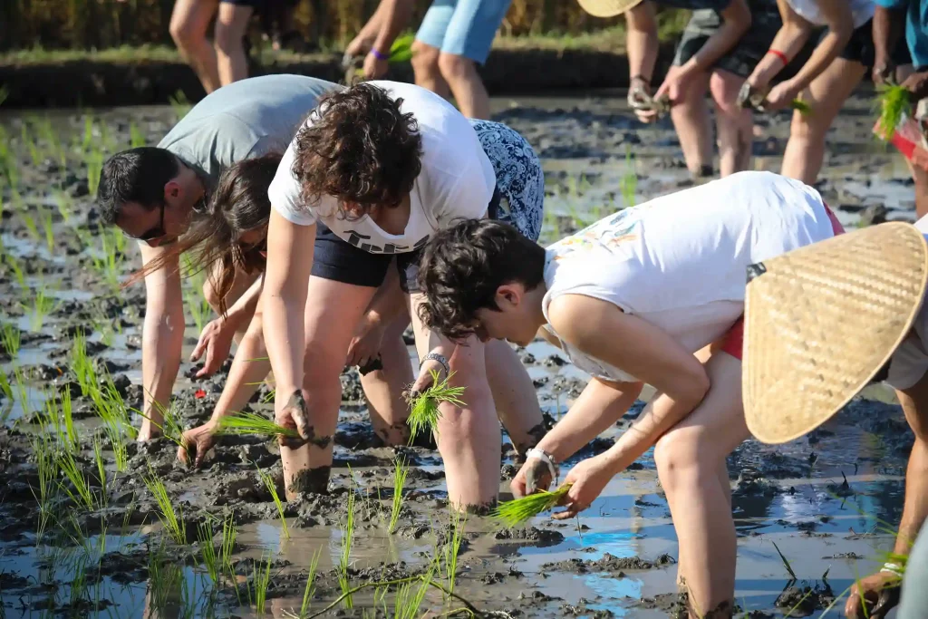 Circuit Eco Responsable Bali Amanaska agence de voyage a Bali 5
