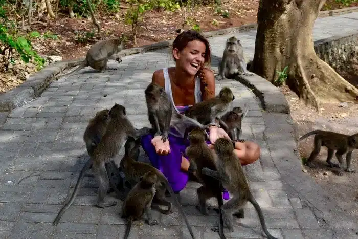 Touriste gentiment attaquée par des singes à Bali Amanaska agence de voyage locale à Bali