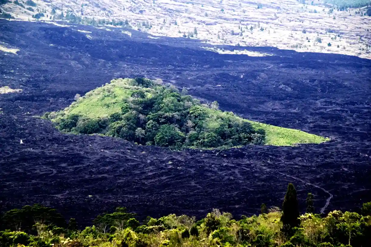Raison 4 de découvrir Bal