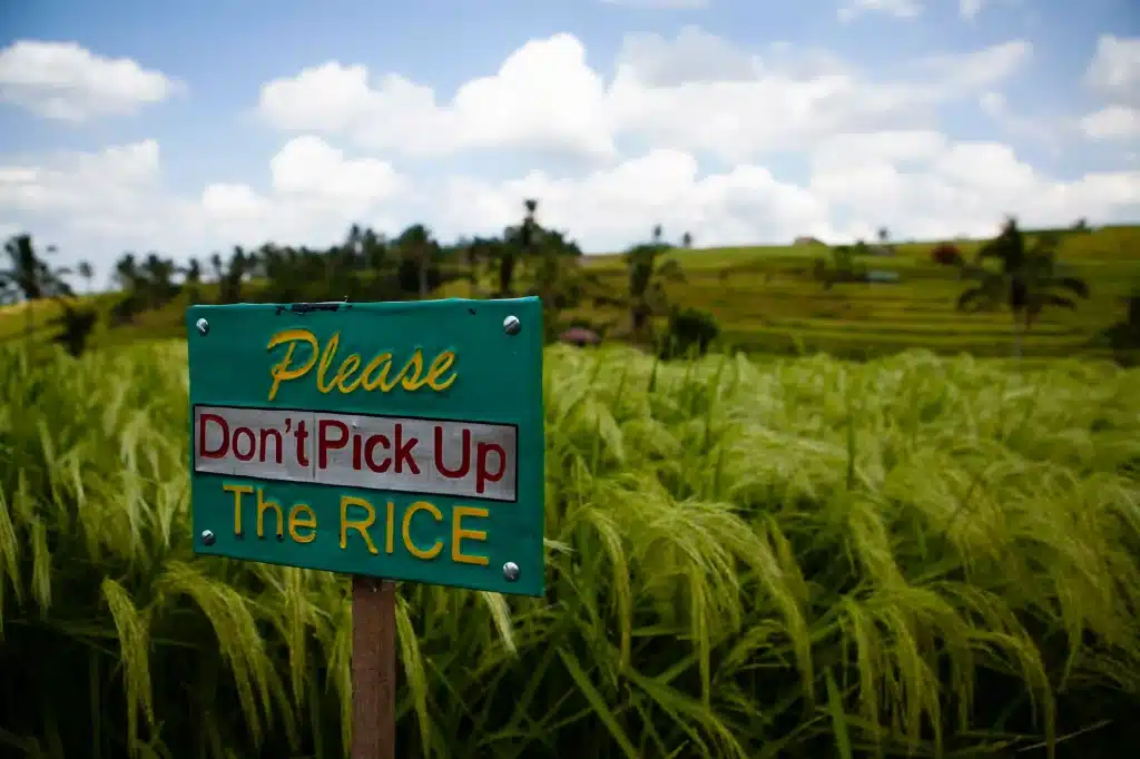 Raison 6 de découvrir Bal