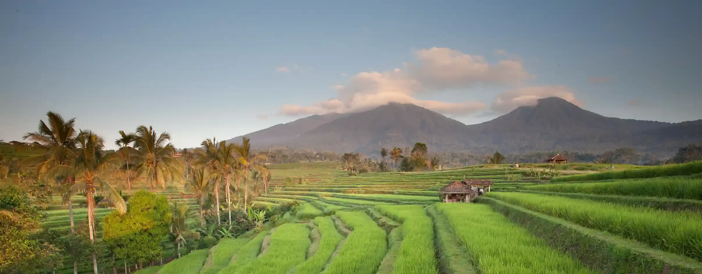 Subak - Rizière Bali