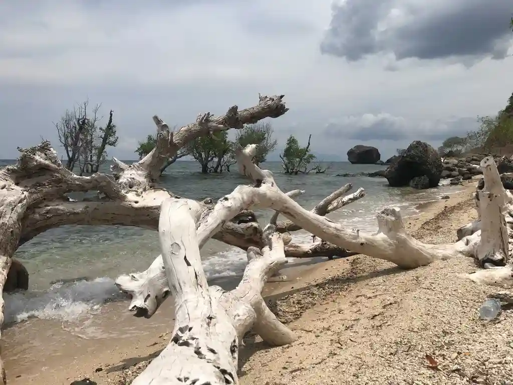 Climat et saison à Bali - partir à Bali au bon moment (1)