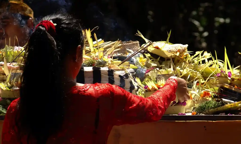 Pourquoi Bali 2